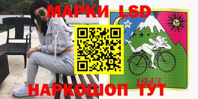 гашик Будённовск