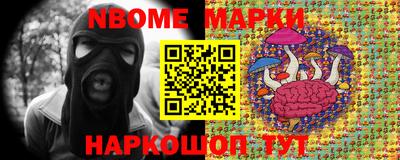 гашик Будённовск