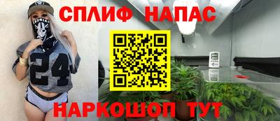гашик Будённовск