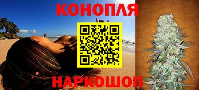 гашик Будённовск