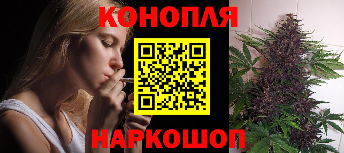 Бошки Шишки планчик Павловский Посад